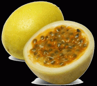 Maracujà
